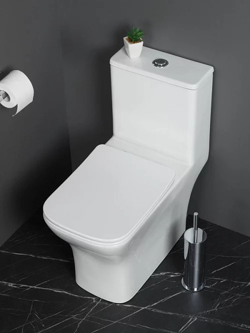 Фото Унитаз моноблок BelBagno Neon BB8617CPR-MN/SC безободковый купить в Ростове-на-Дону: цена, описание, фото. Интернет-магазин 1