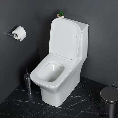 Фото Унитаз моноблок BelBagno Neon BB8617CPR-MN/SC безободковый купить в Ростове-на-Дону: цена, описание, фото. Интернет-магазин 2